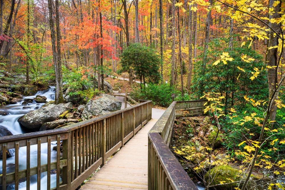 unicoi state park