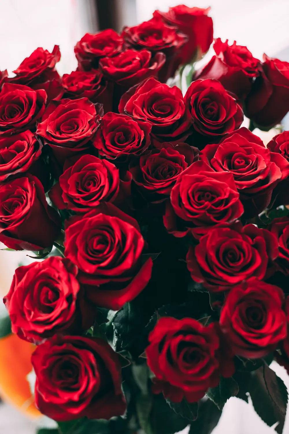 Romance package