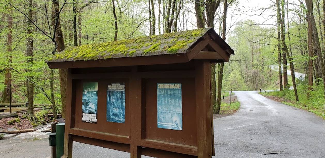 Andrews Cove Trail campground and forest near Helen